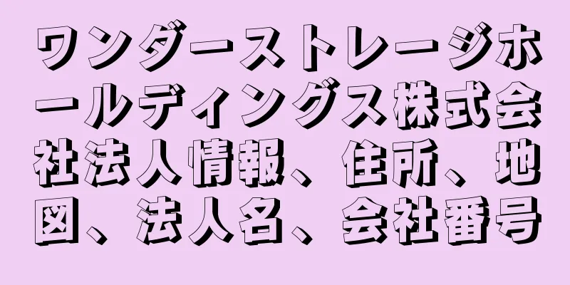 ワンダーストレージホールディングス株式会社法人情報、住所、地図、法人名、会社番号