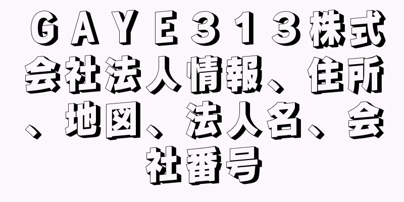 ＧＡＹＥ３１３株式会社法人情報、住所、地図、法人名、会社番号