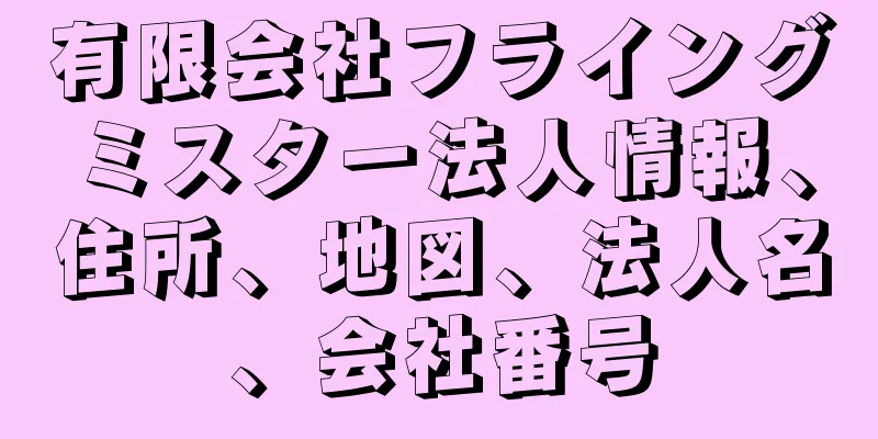 有限会社フライングミスター法人情報、住所、地図、法人名、会社番号