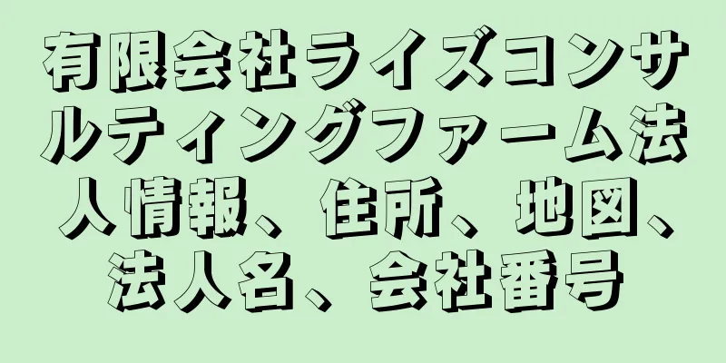 有限会社ライズコンサルティングファーム法人情報、住所、地図、法人名、会社番号