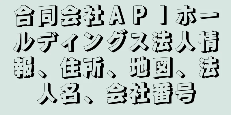 合同会社ＡＰＩホールディングス法人情報、住所、地図、法人名、会社番号
