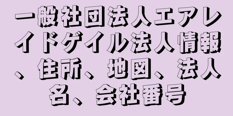 一般社団法人エアレイドゲイル法人情報、住所、地図、法人名、会社番号