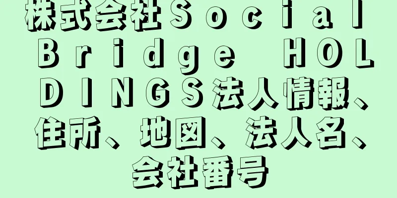 株式会社Ｓｏｃｉａｌ　Ｂｒｉｄｇｅ　ＨＯＬＤＩＮＧＳ法人情報、住所、地図、法人名、会社番号