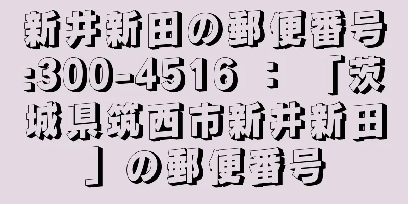 新井新田の郵便番号:300-4516 ： 「茨城県筑西市新井新田」の郵便番号