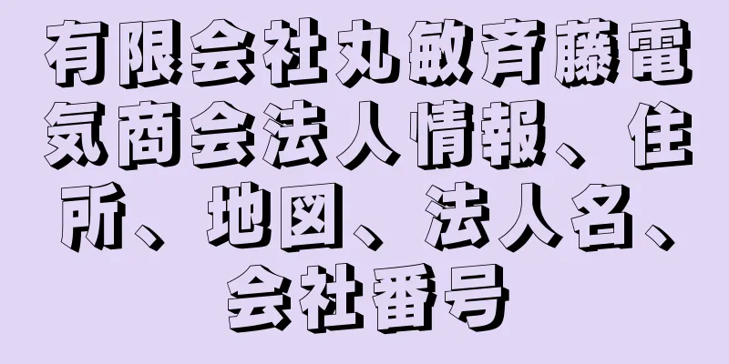 有限会社丸敏斉藤電気商会法人情報、住所、地図、法人名、会社番号