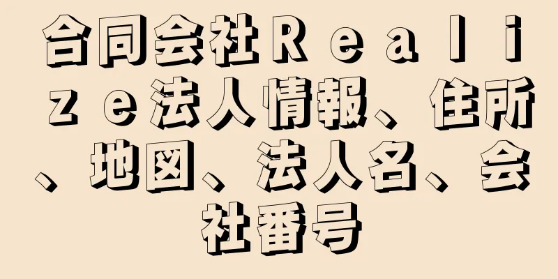 合同会社Ｒｅａｌｉｚｅ法人情報、住所、地図、法人名、会社番号