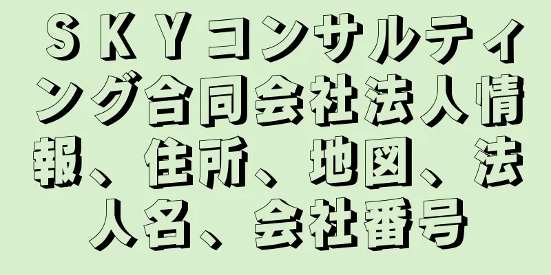 ＳＫＹコンサルティング合同会社法人情報、住所、地図、法人名、会社番号