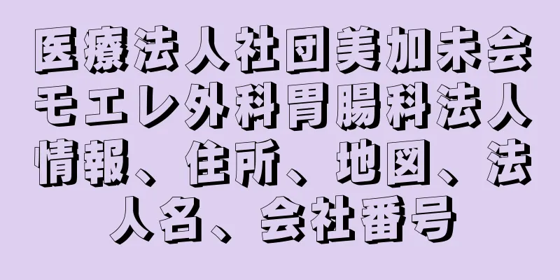 医療法人社団美加未会モエレ外科胃腸科法人情報、住所、地図、法人名、会社番号