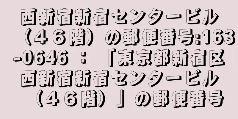 西新宿新宿センタービル（４６階）の郵便番号:163-0646 ： 「東京都新宿区西新宿新宿センタービル（４６階）」の郵便番号