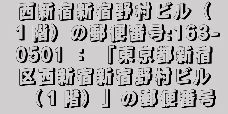 西新宿新宿野村ビル（１階）の郵便番号:163-0501 ： 「東京都新宿区西新宿新宿野村ビル（１階）」の郵便番号