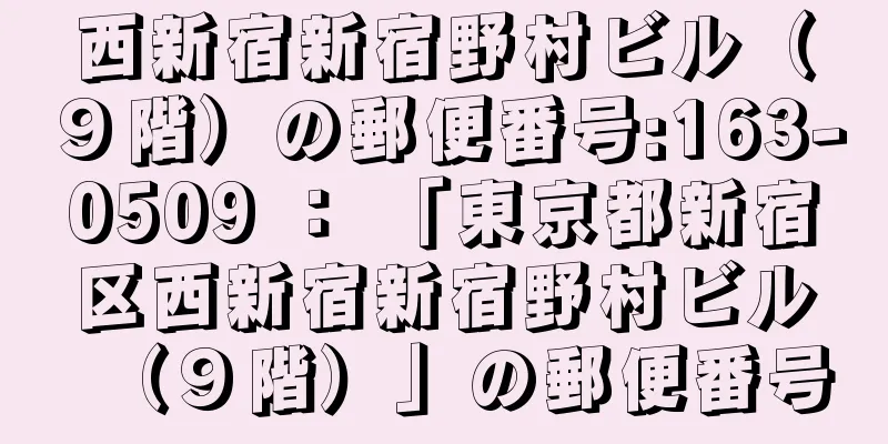 西新宿新宿野村ビル（９階）の郵便番号:163-0509 ： 「東京都新宿区西新宿新宿野村ビル（９階）」の郵便番号