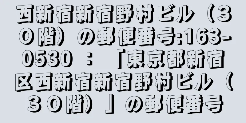 西新宿新宿野村ビル（３０階）の郵便番号:163-0530 ： 「東京都新宿区西新宿新宿野村ビル（３０階）」の郵便番号