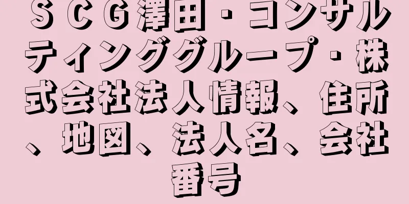ＳＣＧ澤田・コンサルティンググループ・株式会社法人情報、住所、地図、法人名、会社番号
