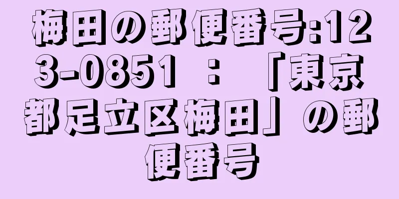 梅田の郵便番号:123-0851 ： 「東京都足立区梅田」の郵便番号