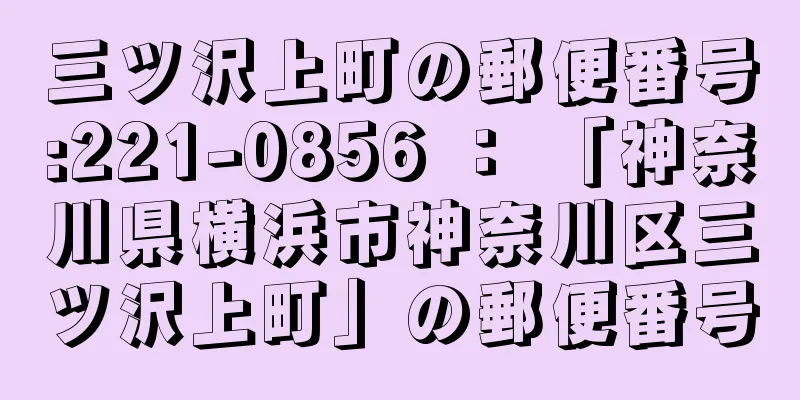 三ツ沢上町の郵便番号:221-0856 ： 「神奈川県横浜市神奈川区三ツ沢上町」の郵便番号