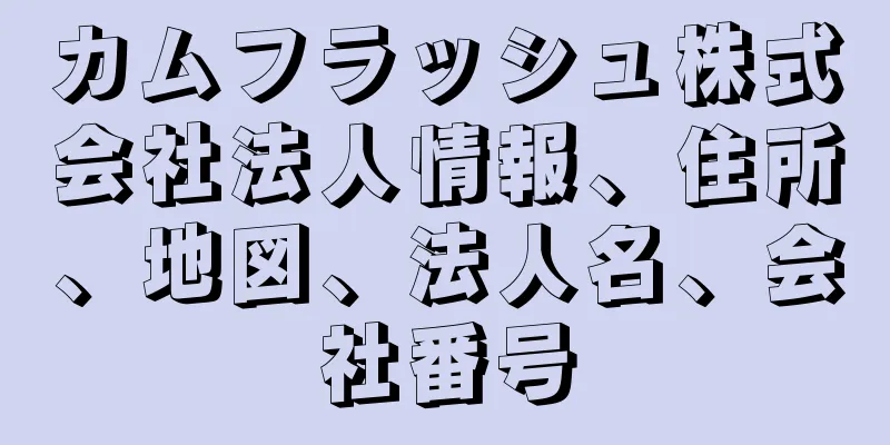 カムフラッシュ株式会社法人情報、住所、地図、法人名、会社番号