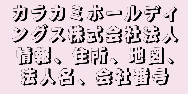 カラカミホールディングス株式会社法人情報、住所、地図、法人名、会社番号