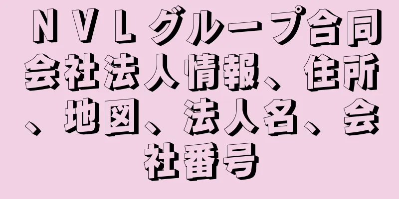 ＮＶＬグループ合同会社法人情報、住所、地図、法人名、会社番号