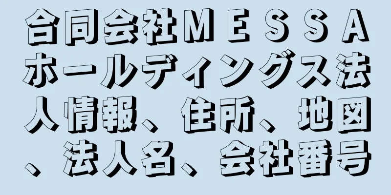 合同会社ＭＥＳＳＡホールディングス法人情報、住所、地図、法人名、会社番号