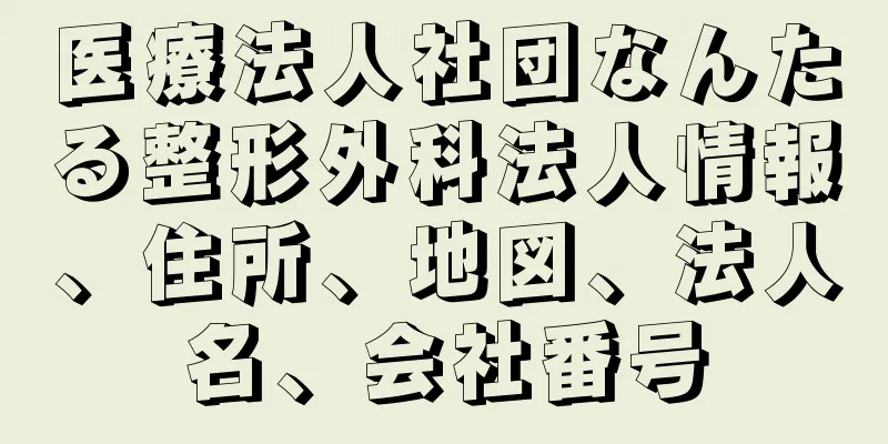 医療法人社団なんたる整形外科法人情報、住所、地図、法人名、会社番号