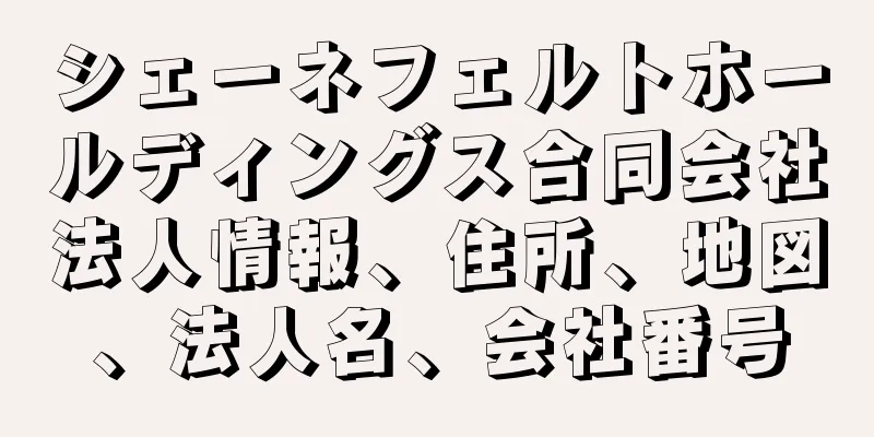 シェーネフェルトホールディングス合同会社法人情報、住所、地図、法人名、会社番号