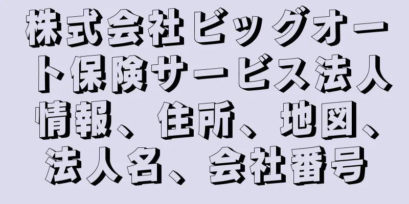 株式会社ビッグオート保険サービス法人情報、住所、地図、法人名、会社番号