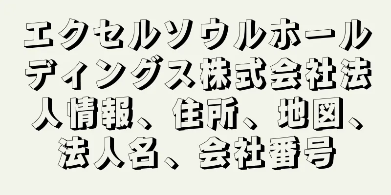 エクセルソウルホールディングス株式会社法人情報、住所、地図、法人名、会社番号