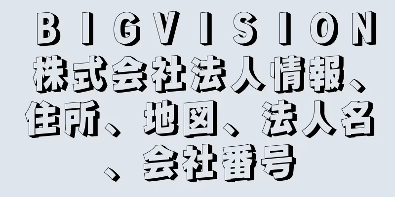 ＢＩＧＶＩＳＩＯＮ株式会社法人情報、住所、地図、法人名、会社番号