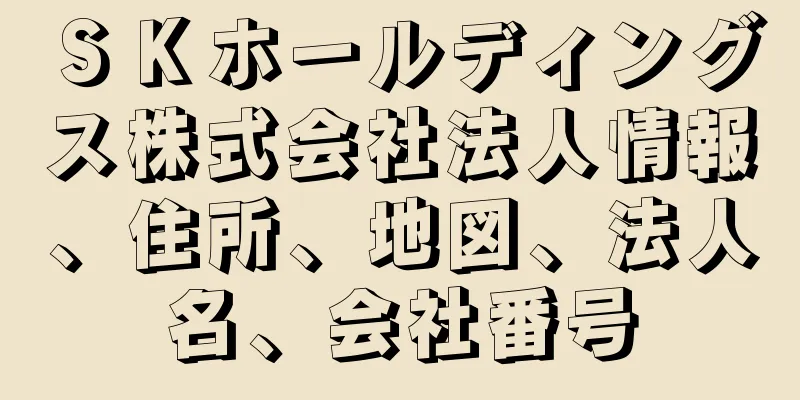 ＳＫホールディングス株式会社法人情報、住所、地図、法人名、会社番号