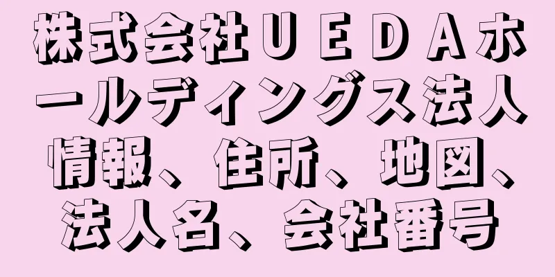 株式会社ＵＥＤＡホールディングス法人情報、住所、地図、法人名、会社番号