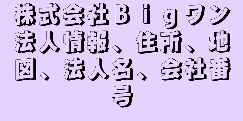 株式会社Ｂｉｇワン法人情報、住所、地図、法人名、会社番号