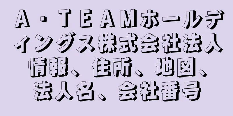 Ａ・ＴＥＡＭホールディングス株式会社法人情報、住所、地図、法人名、会社番号