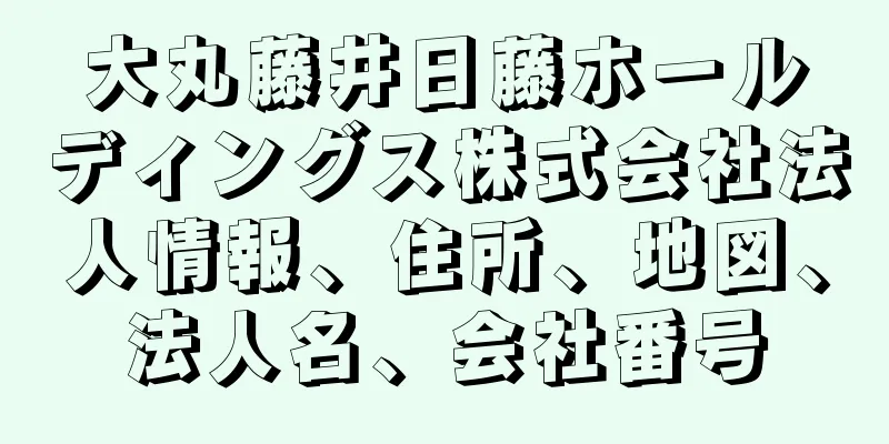 大丸藤井日藤ホールディングス株式会社法人情報、住所、地図、法人名、会社番号