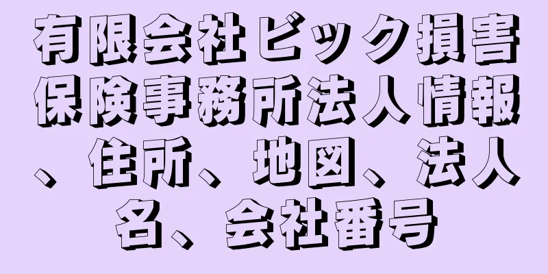 有限会社ビック損害保険事務所法人情報、住所、地図、法人名、会社番号