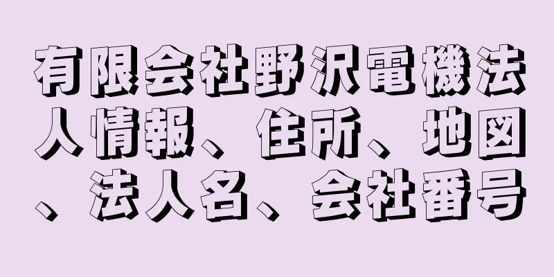 有限会社野沢電機法人情報、住所、地図、法人名、会社番号