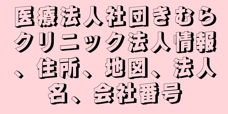 医療法人社団きむらクリニック法人情報、住所、地図、法人名、会社番号