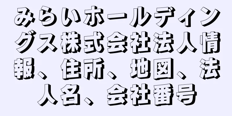 みらいホールディングス株式会社法人情報、住所、地図、法人名、会社番号