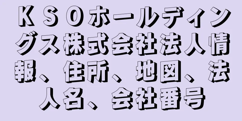 ＫＳＯホールディングス株式会社法人情報、住所、地図、法人名、会社番号