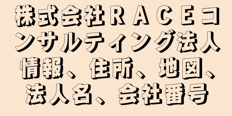 株式会社ＲＡＣＥコンサルティング法人情報、住所、地図、法人名、会社番号